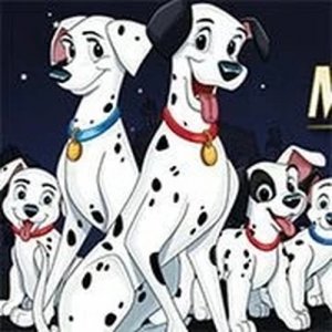 Spotted Pup Puzzle Adventure