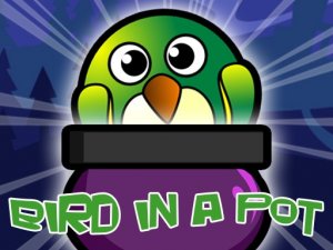 Bird Pot Puzzle
