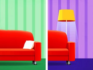 Find A Difference Puzzle Game