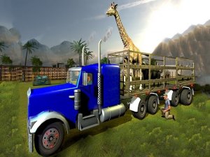 Animal Transport Truck 3D Driving