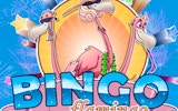 Pink Crane Number Match