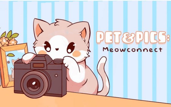 Feline Photo Tile Puzzle