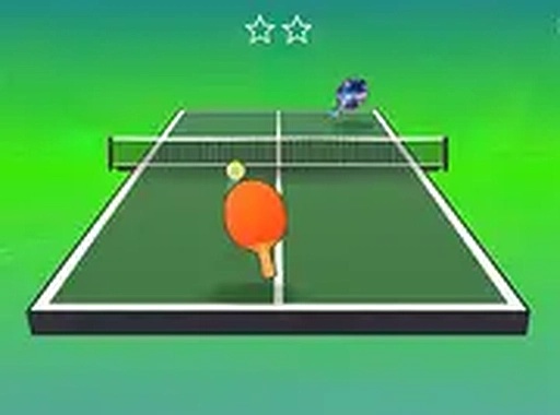 Paddle Precision Match