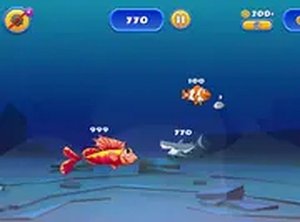 Aquatic Expansion Challenge